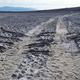 Illustration for article titled Inconsiderate Assholes Are Damaging Parts Of Death Valley